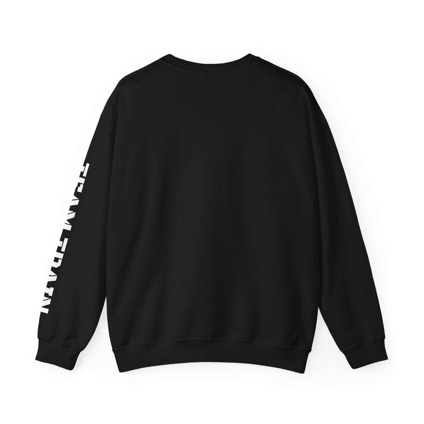 TS Logo Sweatshirt II