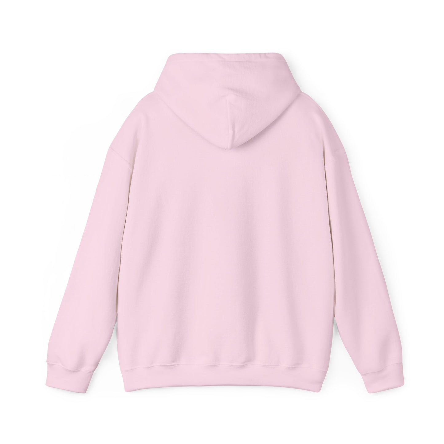 TSF Hooded Logo Sweatshirt