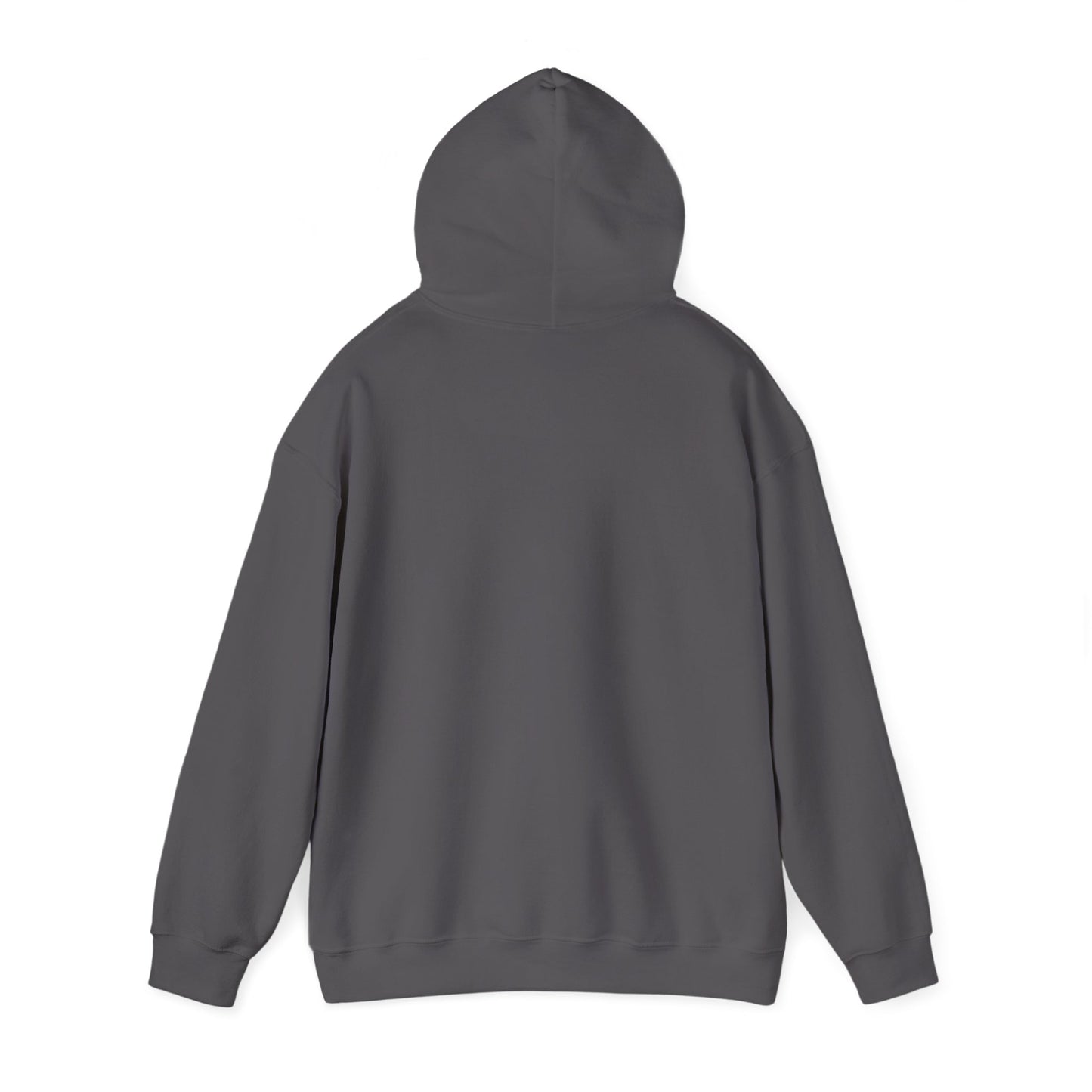 TSF Hooded Logo Sweatshirt
