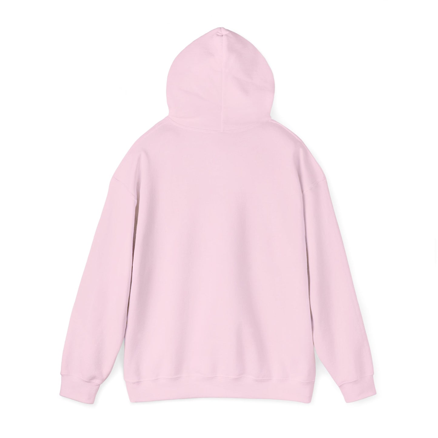 TSF Hooded Logo Sweatshirt